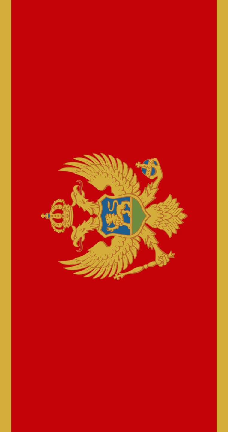 Виза в Черногорию