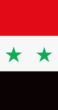 Виза в Сирию